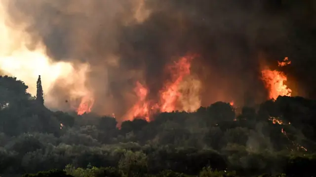 Φωτιά στη Βοιωτία: Καλύτερη η εικόνα της πυρκαγιάς στην Ασωπία - Επιχειρούν και εναέρια μέσα