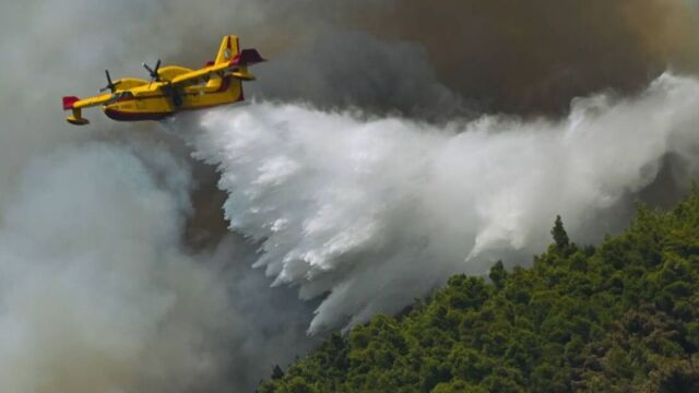 Μεσσηνία: Φωτιά σε αγροτοδασική έκταση κοντά σε οικισμό - Στη μάχη 2 αεροπλάνα και 1 αεροσκάφος - Πνέουν ισχυροί άνεμοι