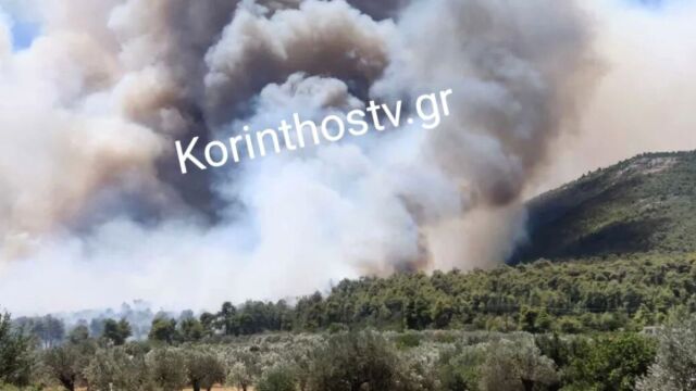 Φωτιά στο Σοφικό: Δυο πύρινα μέτωπα προς Επίδαυρο και Κόρφο (Εικόνες & Βίντεο)