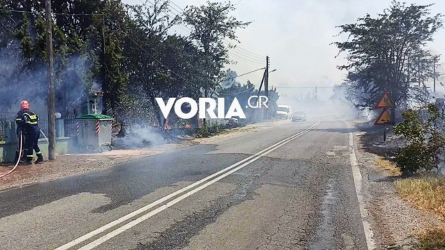 Φωτιά στη Θέρμη Θεσσαλονίκης: Καλύτερη η εικόνα στον Τρίλοφο, οι φλόγες έφτασαν σε αυλές σπιτιών (Εικόνες & Βίντεο)