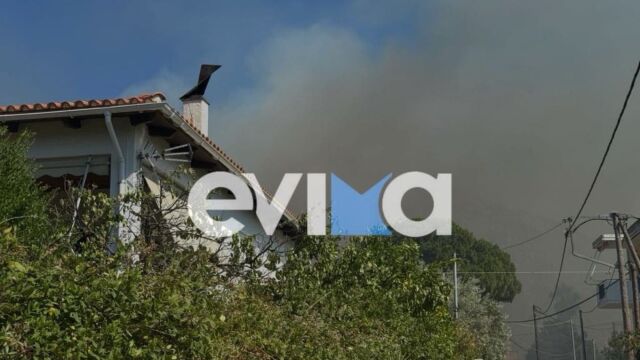 Φωτιά στην Εύβοια: Τέθηκε υπο έλεγχο η πυρκαγιά - Πυροσβεστική μαζί με... κατοίκους και παραθεριστές πάλεψαν με τις φλόγες, έγλειψαν τα σπίτια