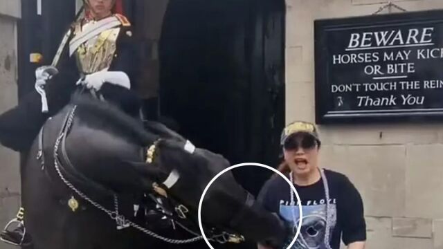 Τουρίστρια λιποθύμησε όταν άλογο της βρετανικής βασιλικής φρουράς τη δάγκωσε (Βίντεο)