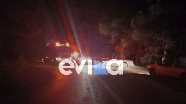 Μεγάλη φωτιά στην Εύβοια: Δύσκολη νύχτα, μάχη για να τεθεί υπό έλεγχο - Τραυματίστηκε πυροσβέστης, εκκενώθηκαν οικισμοί (Εικόνες & Βίντεο)