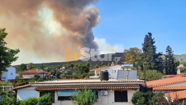 Μεγάλη φωτιά στην Εύβοια: Μάχη με τις φλόγες στον Πίσσωνα - Εκκενώνονται 4 οικισμοί, το πύρινο μέτωπο κατευθύνεται προς Ερέτρια (Εικόνες)