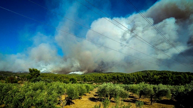 Ανεξέλεγκτη η φωτιά στην Εύβοια:  Οι φλόγες απειλούν το Αφράτι, νέο πύρινο μέτωπο προς Καμάρι  (Εικόνες)