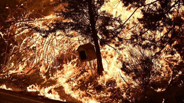 Μάχη με το χρόνο στο ανεξέλεγκτο μέτωπο στον Βαρνάβα - Τιτάνιες προσπάθειες να μείνει περιορισμένη η φωτιά μέχρι το πρωί (Εικόνες & Βίντεο)