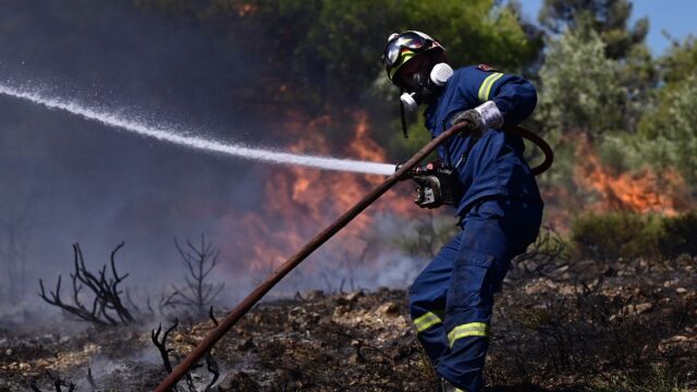 Φωτιά τώρα στην Κεφαλονιά: Καίει σε δασική έκταση - Ήχησε το 112