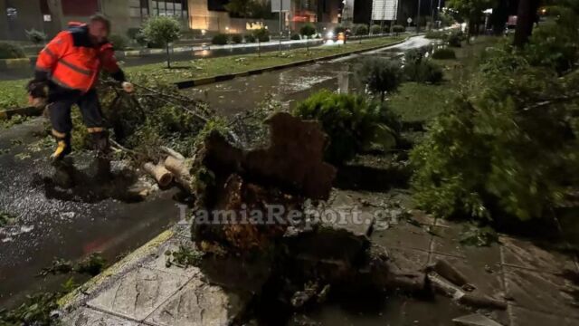 Λαμία: Μπουρίνι ξερίζωσε δέντρα και προκάλεσε διακοπή ρεύματος - Έσβησαν τα φανάρια της πόλης