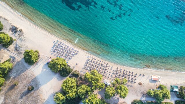 Χαλκιδική: Έφοδος των Εσωτερικών Υποθέσεων στο Δασαρχείο Πολυγύρου - Κάνουν φύλλο και φτερό φακέλους