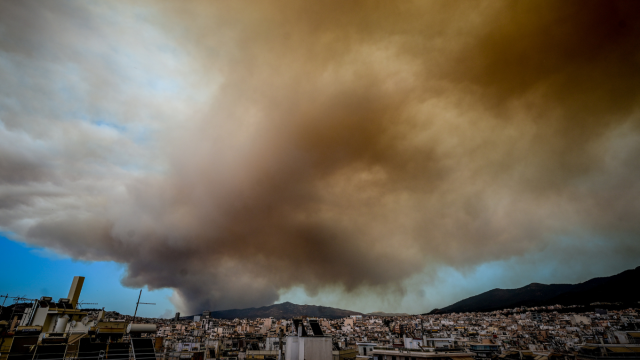 Φωτιά στην Αττική: Δηλητήριο ο αέρας λέει το Αστεροσκοπείο - Οδηγίες από τον Ιατρικό Σύλλογο Αθηνών προς τους πολίτες στις πληγείσες περιοχές